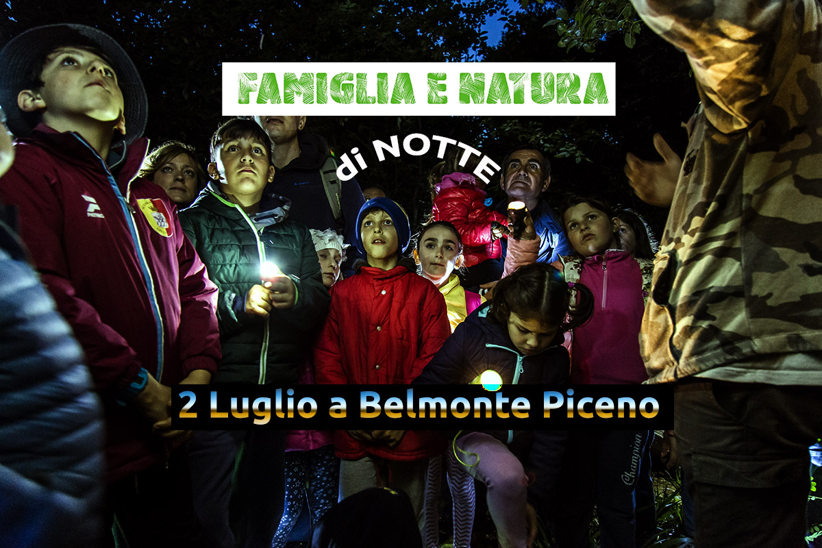 famiglia e natura di notte belmonte scura Famiglia e Natura di Notte@Belmonte Piceno