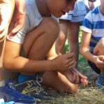 20170630 083543 150x150 I bambini e la natura   Centro Estivo 2017