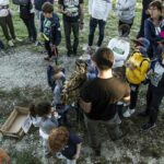  La natura al buio   Le emozioni di Famiglia e Natura di Notte