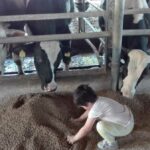 IMG 20170704 101000 150x150 I bambini e la natura   Centro Estivo 2017
