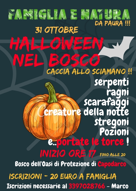HALLOWEEN NEL BOSCO 2017 Halloween Nel Bosco   Capodarco   31 Ottobre
