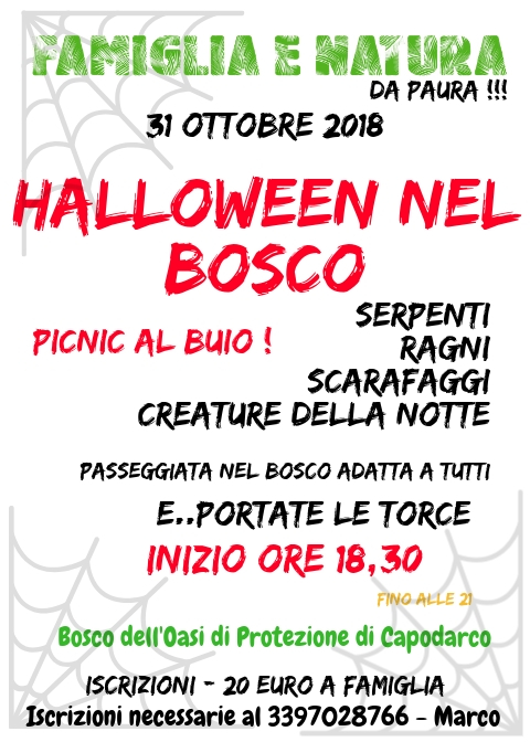 HALLOWEEN 2018 Halloween nel Bosco   31 ottobre   Capodarco