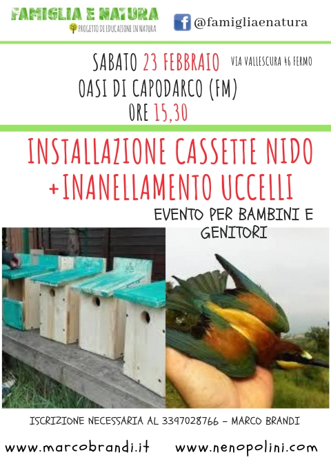CASSETTE NIDO Installazione Cassette Nido + Inanellamento