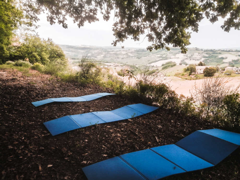 Rilassamento nel bosco