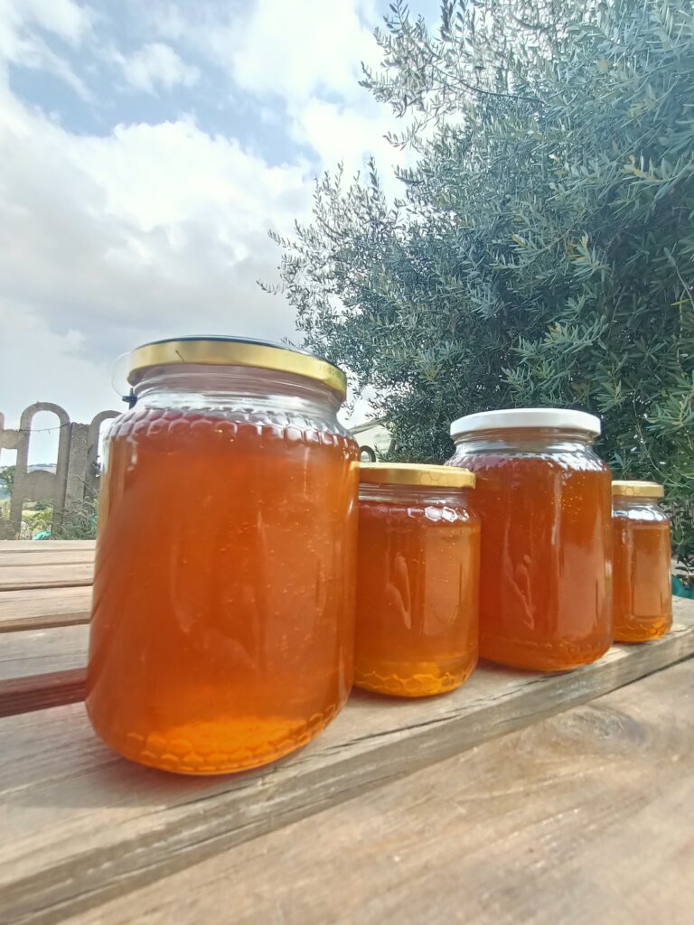 I bambini e le attività in natura