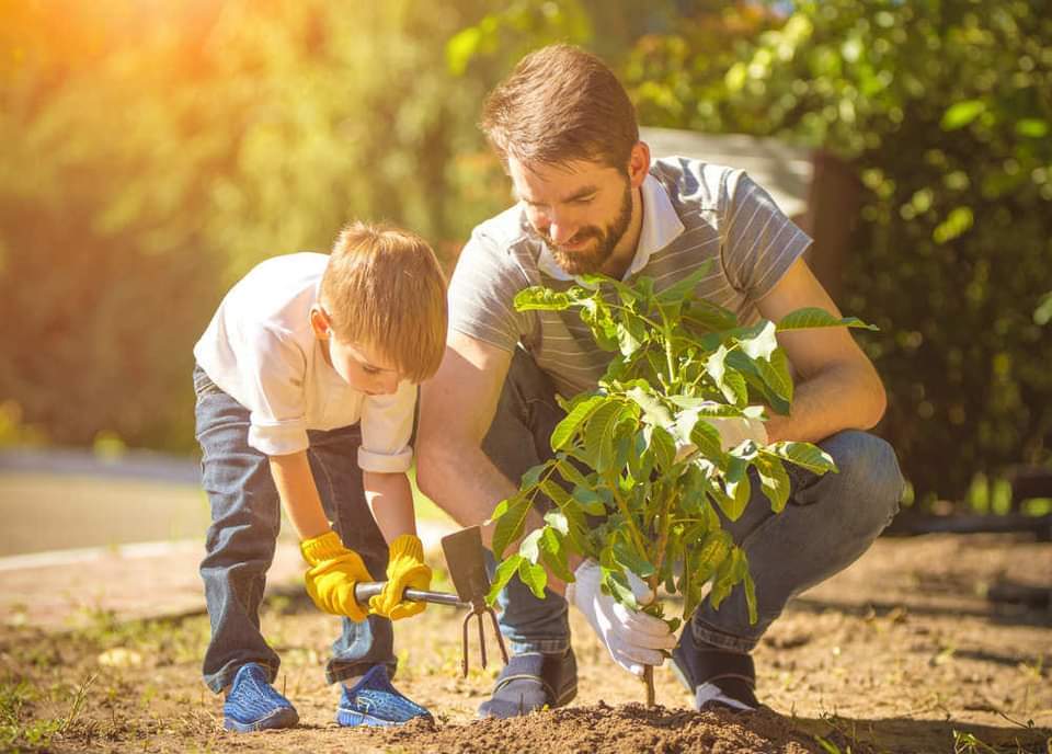 PIANTIAMO UN ALBERO 2024