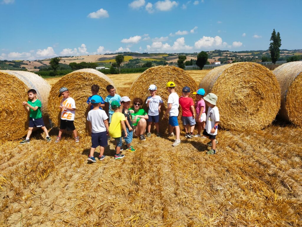 Centro Estivo nella Natura 2026